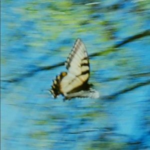 Meet your Posher, Yifan